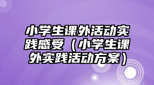 小學(xué)生課外活動實踐感受（小學(xué)生課外實踐活動方案）