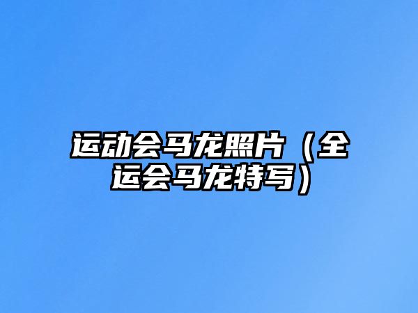 運(yùn)動(dòng)會(huì)馬龍照片（全運(yùn)會(huì)馬龍?zhí)貙懀? class=