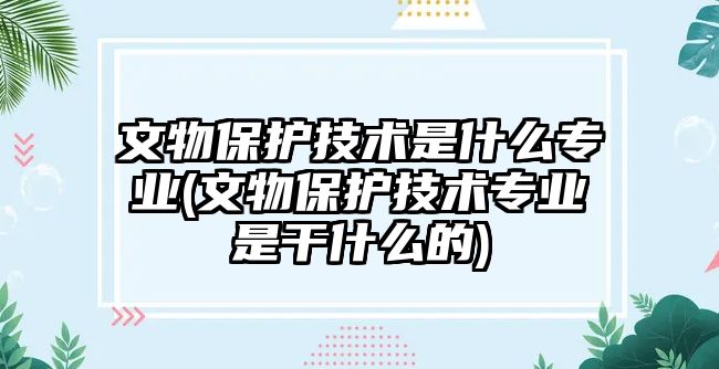 文物保護技術(shù)是什么專業(yè)(文物保護技術(shù)專業(yè)是干什么的)