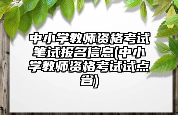 中小學教師資格考試筆試報名信息(中小學教師資格考試試點省)