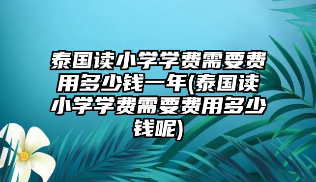 泰國(guó)讀小學(xué)學(xué)費(fèi)需要費(fèi)用多少錢(qián)一年(泰國(guó)讀小學(xué)學(xué)費(fèi)需要費(fèi)用多少錢(qián)呢)