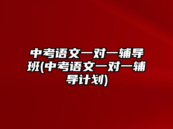 中考語文一對一輔導班(中考語文一對一輔導計劃)