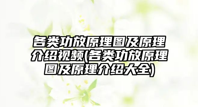 各類功放原理圖及原理介紹視頻(各類功放原理圖及原理介紹大全)