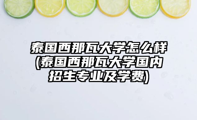 泰國西那瓦大學(xué)怎么樣(泰國西那瓦大學(xué)國內(nèi)招生專業(yè)及學(xué)費)