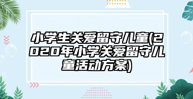 小學(xué)生關(guān)愛留守兒童(2020年小學(xué)關(guān)愛留守兒童活動方案)