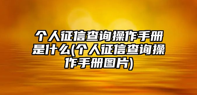 個(gè)人征信查詢操作手冊是什么(個(gè)人征信查詢操作手冊圖片)