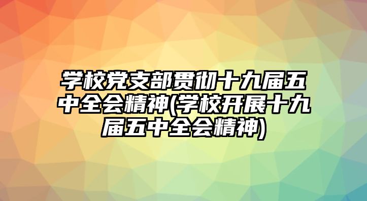 學校黨支部貫徹十九屆五中全會精神(學校開展十九屆五中全會精神)