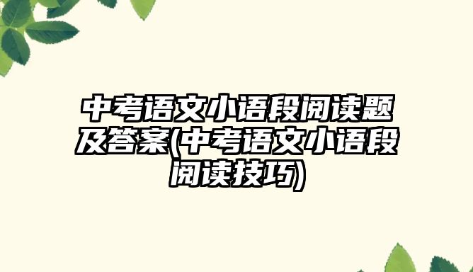 中考語文小語段閱讀題及答案(中考語文小語段閱讀技巧)