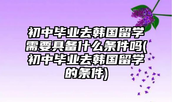 初中畢業(yè)去韓國留學需要具備什么條件嗎(初中畢業(yè)去韓國留學的條件)