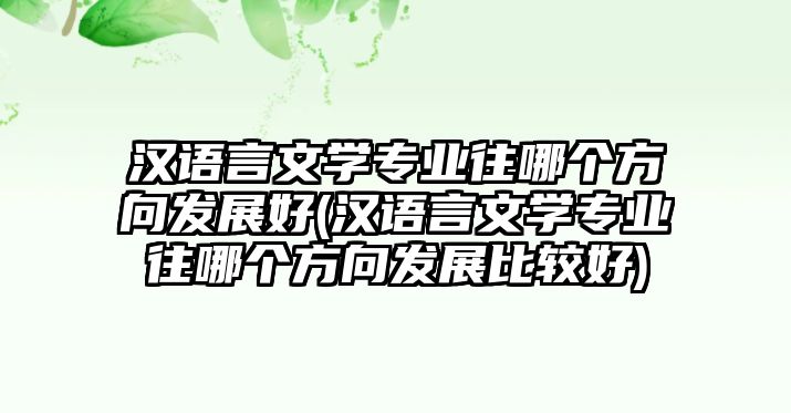 漢語言文學(xué)專業(yè)往哪個方向發(fā)展好(漢語言文學(xué)專業(yè)往哪個方向發(fā)展比較好)