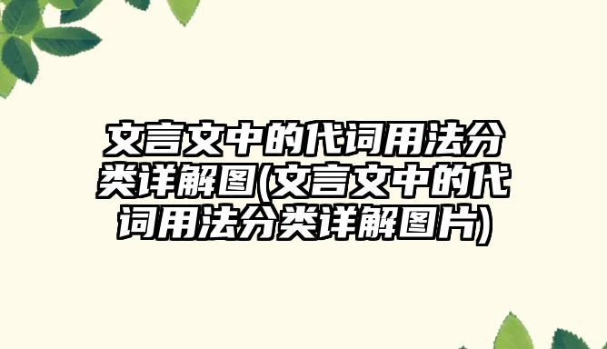 文言文中的代詞用法分類詳解圖(文言文中的代詞用法分類詳解圖片)