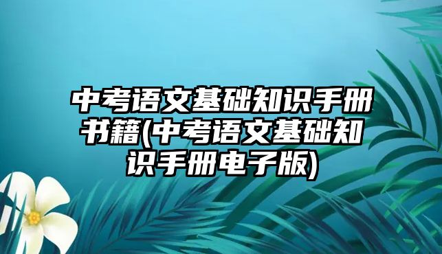 中考語文基礎(chǔ)知識(shí)手冊(cè)書籍(中考語文基礎(chǔ)知識(shí)手冊(cè)電子版)