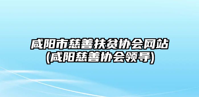 咸陽(yáng)市慈善扶貧協(xié)會(huì)網(wǎng)站(咸陽(yáng)慈善協(xié)會(huì)領(lǐng)導(dǎo))