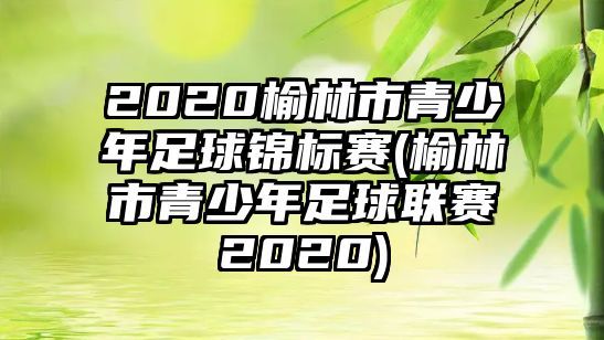 2020榆林市青少年足球錦標(biāo)賽(榆林市青少年足球聯(lián)賽2020)