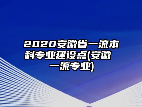 2020安徽省一流本科專業(yè)建設(shè)點(安徽 一流專業(yè))