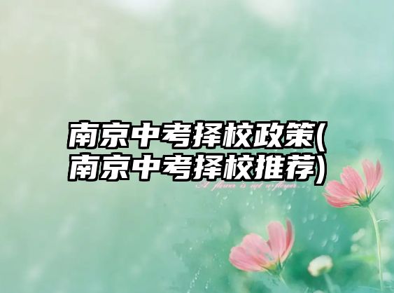 南京中考擇校政策(南京中考擇校推薦)