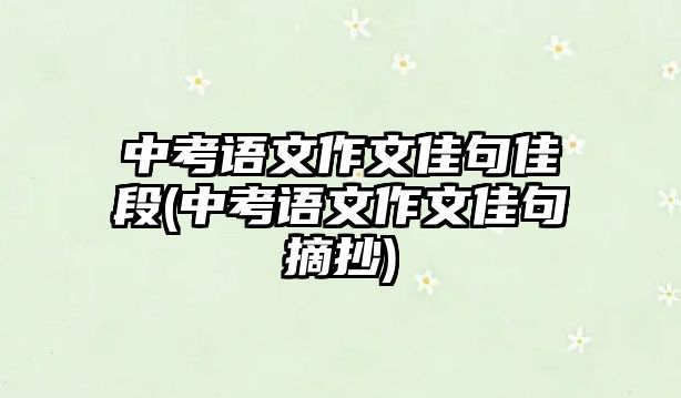 中考語(yǔ)文作文佳句佳段(中考語(yǔ)文作文佳句摘抄)