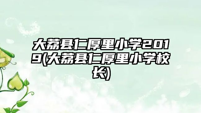 大荔縣仁厚里小學(xué)2019(大荔縣仁厚里小學(xué)校長)