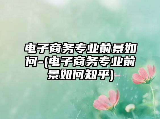 電子商務(wù)專業(yè)前景如何-(電子商務(wù)專業(yè)前景如何知乎)