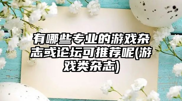 有哪些專(zhuān)業(yè)的游戲雜志或論壇可推薦呢(游戲類(lèi)雜志)