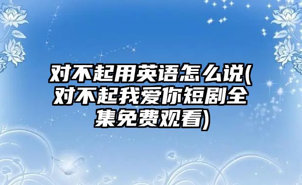 對不起用英語怎么說(對不起我愛你短劇全集免費(fèi)觀看)