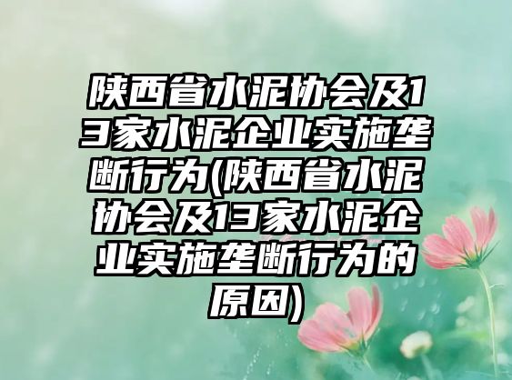 陜西省水泥協(xié)會(huì)及13家水泥企業(yè)實(shí)施壟斷行為(陜西省水泥協(xié)會(huì)及13家水泥企業(yè)實(shí)施壟斷行為的原因)