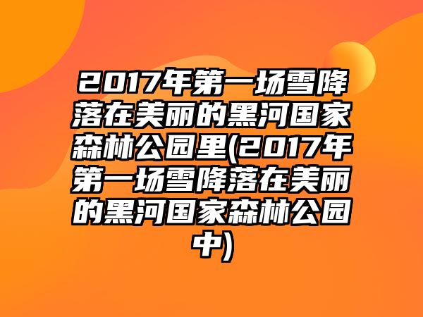 2017年第一場雪降落在美麗的黑河國家森林公園里(2017年第一場雪降落在美麗的黑河國家森林公園中)