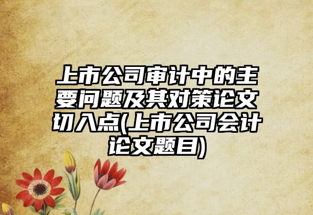 上市公司審計中的主要問題及其對策論文切入點(上市公司會計論文題目)