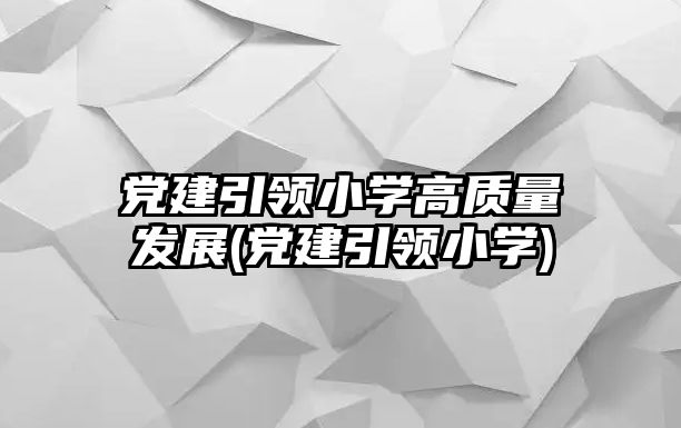 黨建引領(lǐng)小學(xué)高質(zhì)量發(fā)展(黨建引領(lǐng)小學(xué))