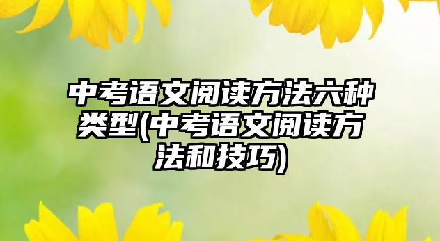 中考語文閱讀方法六種類型(中考語文閱讀方法和技巧)