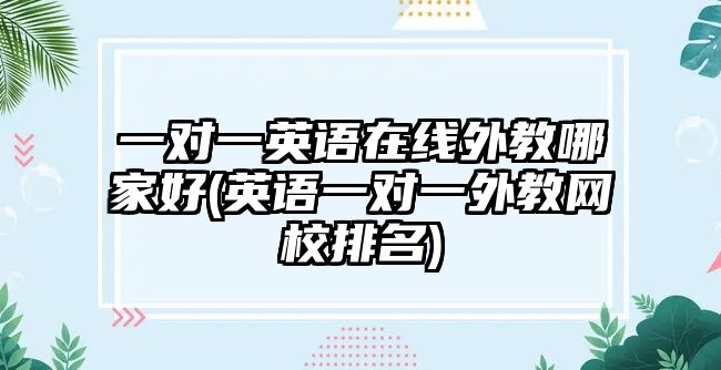 一對一英語在線外教哪家好(英語一對一外教網(wǎng)校排名)