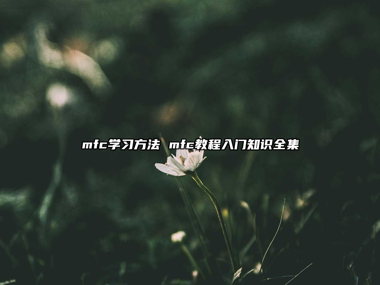 mfc學(xué)習(xí)方法 mfc教程入門知識全集