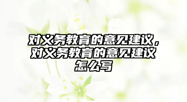 對義務(wù)教育的意見建議，對義務(wù)教育的意見建議怎么寫