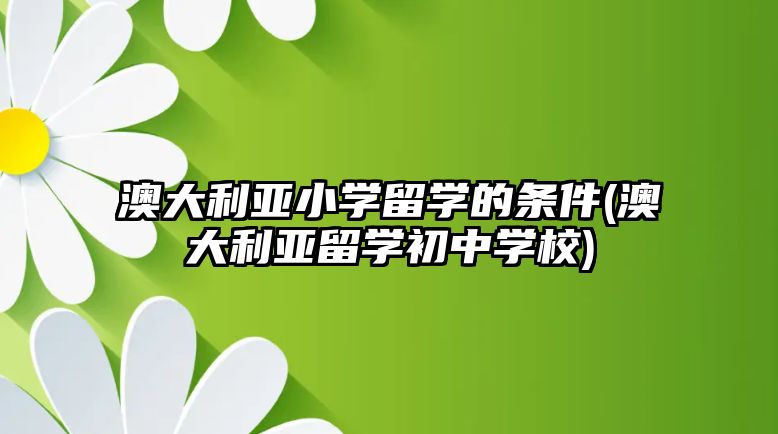 澳大利亞小學留學的條件(澳大利亞留學初中學校)