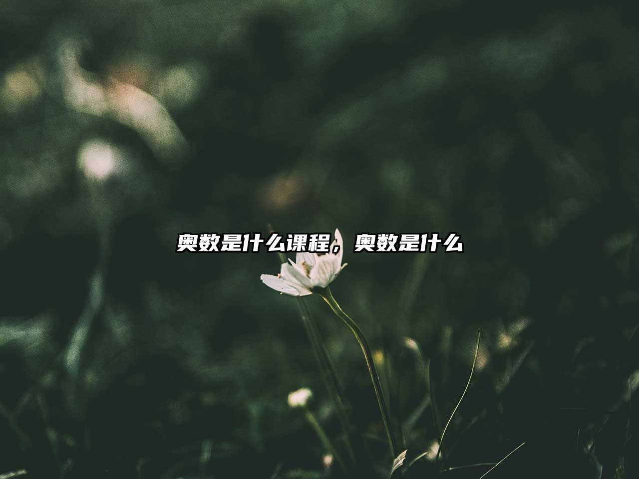 奧數(shù)是什么課程，奧數(shù)是什么