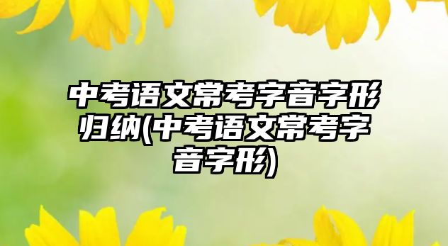 中考語文?？甲忠糇中螝w納(中考語文?？甲忠糇中?