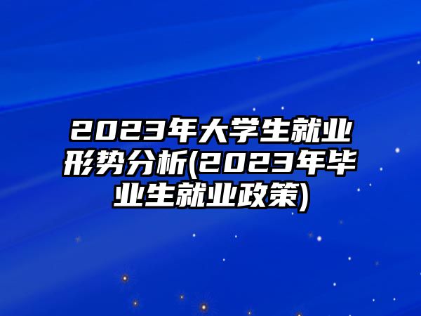 2023年大學(xué)生就業(yè)形勢(shì)分析(2023年畢業(yè)生就業(yè)政策)