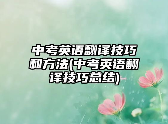 中考英語(yǔ)翻譯技巧和方法(中考英語(yǔ)翻譯技巧總結(jié))