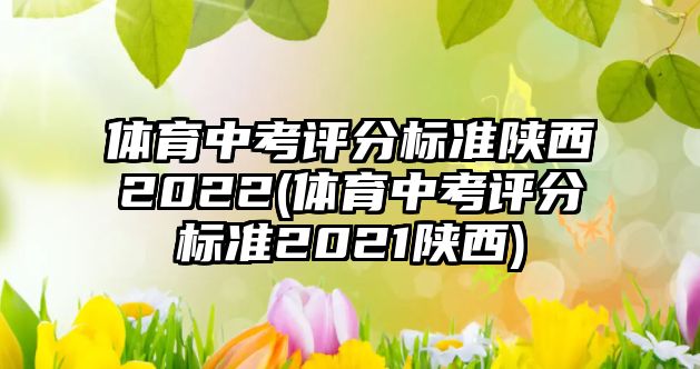 體育中考評分標(biāo)準(zhǔn)陜西2022(體育中考評分標(biāo)準(zhǔn)2021陜西)