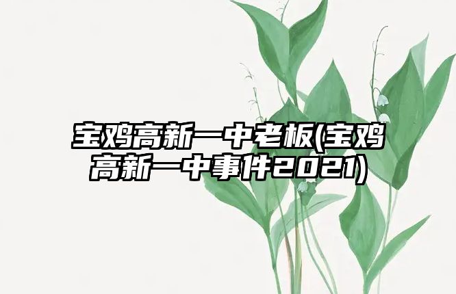 寶雞高新一中老板(寶雞高新一中事件2021)