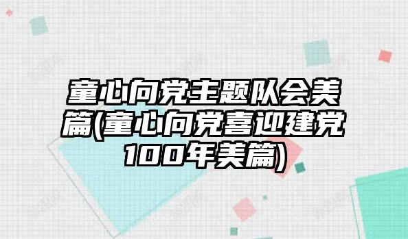 童心向黨主題隊(duì)會(huì)美篇(童心向黨喜迎建黨100年美篇)