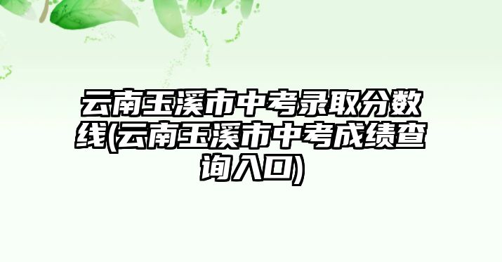 云南玉溪市中考錄取分數(shù)線(云南玉溪市中考成績查詢?nèi)肟?