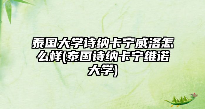 泰國(guó)大學(xué)詩(shī)納卡寧威洛怎么樣(泰國(guó)詩(shī)納卡寧維諾大學(xué))