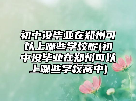 初中沒畢業(yè)在鄭州可以上哪些學(xué)校呢(初中沒畢業(yè)在鄭州可以上哪些學(xué)校高中)