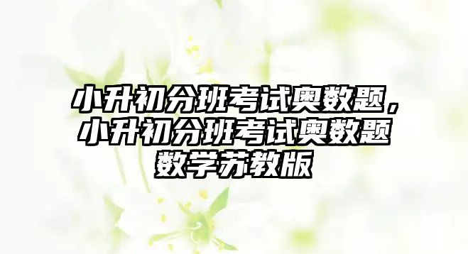 小升初分班考試奧數(shù)題，小升初分班考試奧數(shù)題數(shù)學(xué)蘇教版