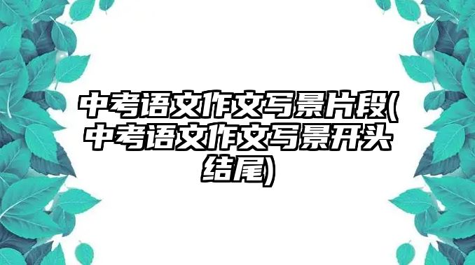 中考語文作文寫景片段(中考語文作文寫景開頭結(jié)尾)