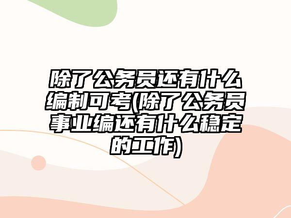 除了公務員還有什么編制可考(除了公務員事業(yè)編還有什么穩(wěn)定的工作)