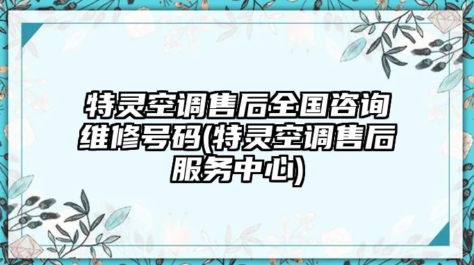 特靈空調(diào)售后全國(guó)咨詢維修號(hào)碼(特靈空調(diào)售后服務(wù)中心)