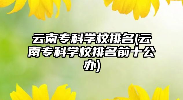 云南?？茖W(xué)校排名(云南?？茖W(xué)校排名前十公辦)