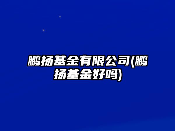 鵬揚(yáng)基金有限公司(鵬揚(yáng)基金好嗎)